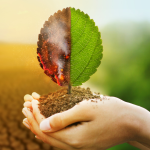 Como mostra João Eustáquio De Almeida Junior, a relação entre o agronegócio e o clima influencia diretamente as decisões estratégicas tomadas no campo.