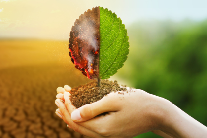 Como mostra João Eustáquio De Almeida Junior, a relação entre o agronegócio e o clima influencia diretamente as decisões estratégicas tomadas no campo.