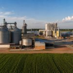 Parajara Moraes Alves Junior